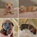 The Adventures of Teddy &amp; Jasper - Facebook