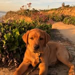 Teddy Jensen - @teddy.waffles - Instagram