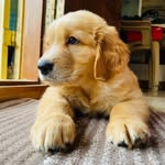 TEDDY JOSEPH - @teddy.joseph2024 - Instagram