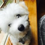 Teddy - @teddyjoseph_ - Instagram
