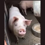 Joyce Hui - @teddy__joyce - Instagram