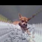 joyce-teddy_love - @joyceteddy_love - Instagram