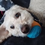 Teddy Joyce - @tedstar_j - Instagram