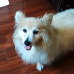 Teddy Joyce - @rappters123 - Instagram
