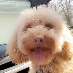 Teddy Kane - @_teddykane_ - Instagram