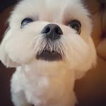 Teddy - @teddy_.kang - Instagram