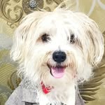 Mr.teddy - @mr.teddykhan - Instagram