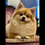Teddy - @_teddy__khan_ - Instagram
