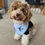 Teddy Storm Khan - @tedd_ykhan - Instagram