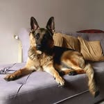 TeDDy - @teddykhanom - Instagram