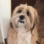 Titi - @teddykhanoom - Instagram