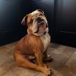 Teddy Lewis - @the_tales_of_teddy_ - Instagram