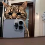 Teddy Lewis - @teddy_2.4 - Instagram