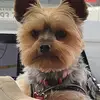 Teddy Martin - @teddytiktok34 - TikTok