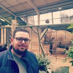 Teddy McGee - @derryelephant - Instagram