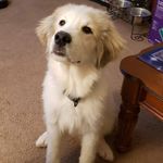 Teddy McLaughlin - @tbuddymcl - Instagram