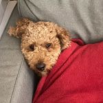 Teddy McLaughlin - @teddy_mclaughlin19 - Instagram