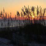 Teddy Meeks Photography - @teddymeeksphotography - Instagram