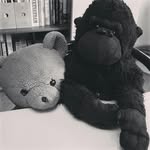 Teddy & Monkey - @adventuresofteddyandmonkey - Instagram
