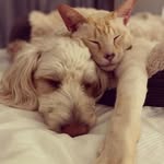 @teddy_and_monkey - Instagram