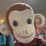 Teddy - @mr._teddy_monkey - Instagram