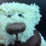 Theodore ‘Teddy’ Monk - @tedd_monk - Instagram