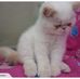 Teddy Edward Morris - Facebook