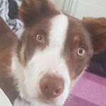 @teddy_morris.0 - Instagram