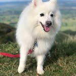Teddy Morris - @teddymorris64 - Instagram