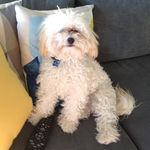 Teddy Morrison - @teddy.morrison2 - Instagram