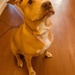 Teddy Mosier - Facebook