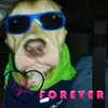Teddy Mosier - @teddy.mosier - TikTok