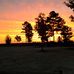 Ted Mosley - Facebook
