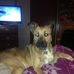 Teddy Mosley - Facebook