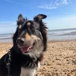 Teddy Moss - @tedsexcellentadventure1402 - Instagram