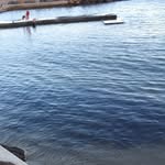 Teddy Mosses - @teddymosses_ - Instagram