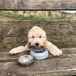 Teddy - @teddymoss2020 - Instagram