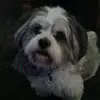 Teddy x - @teddymoss0106 - TikTok