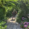 teddy/moss - @mushroom.muppet - TikTok