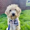 Theodore Moss - @teddy.set.gooooo - TikTok