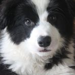 Teddy Orr - Facebook