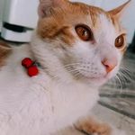 Teddy Cadavid Padilla - @teddy_091722 - Instagram