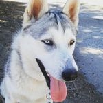 TEDDY PADILLA - @teddy_and_tejana01 - Instagram