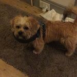 Teddy Pearson - @the_adventures_of_lord_ted - Instagram