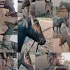 my rabbit,horse riding,myself - @teddy.pepper - TikTok