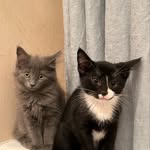 Teddy & Pepper - @teddy_and_pepper - Instagram