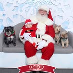 Teddy & Pepper & Myxa & Junior - @itsteddyandpepper - Instagram