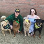 Teddy, Gracie, Zeus & Pepper - @3_special_chows - Instagram