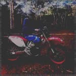 Teddy Pepper - @ernestovolkmanozy - Instagram