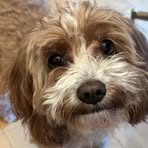 Teddy Pepper - Facebook